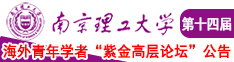 骚鸡巴在线视频免费南京理工大学第十四届海外青年学者紫金论坛诚邀海内外英才！